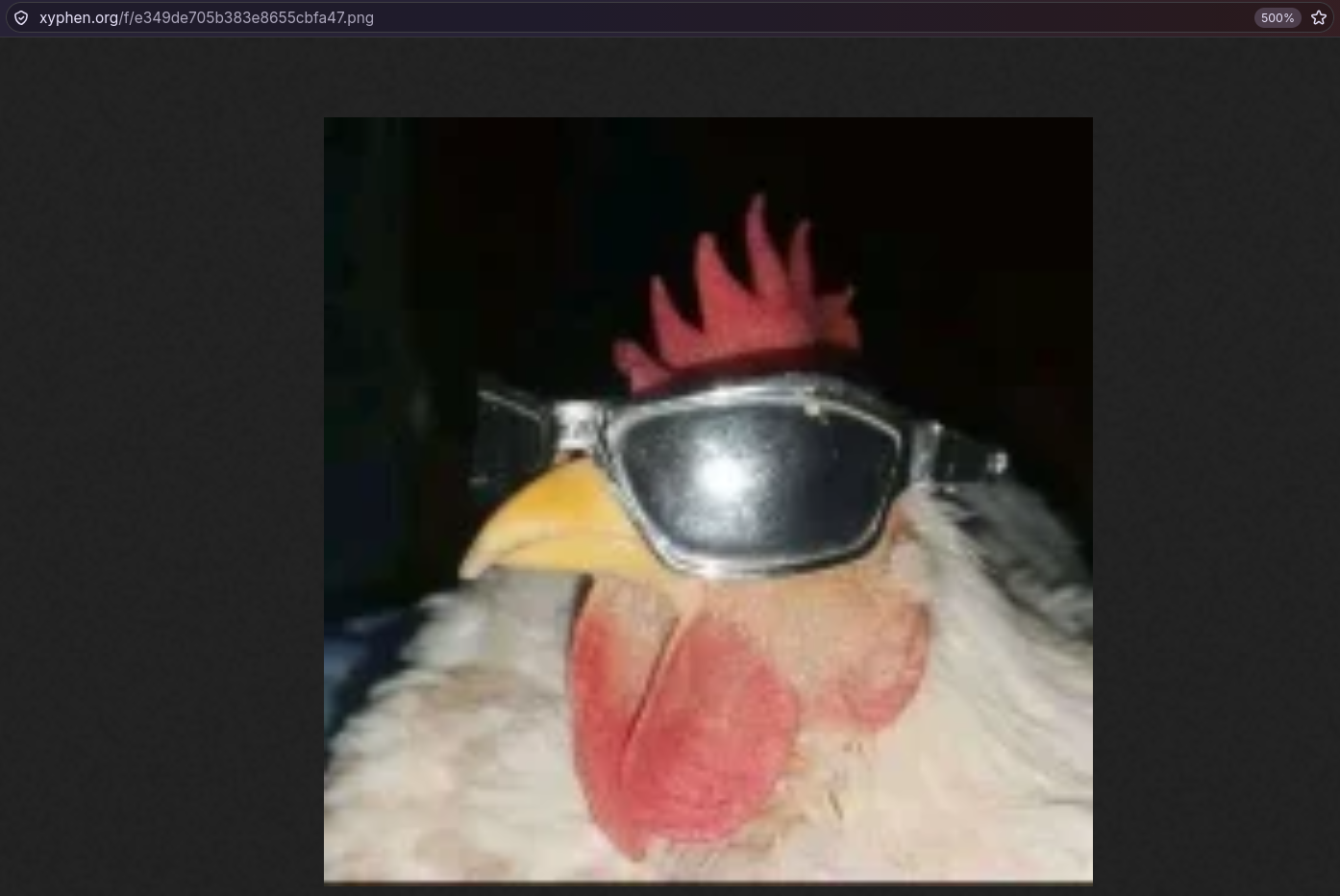 An image of mr zen hosted on Xyphen Fileshare :o